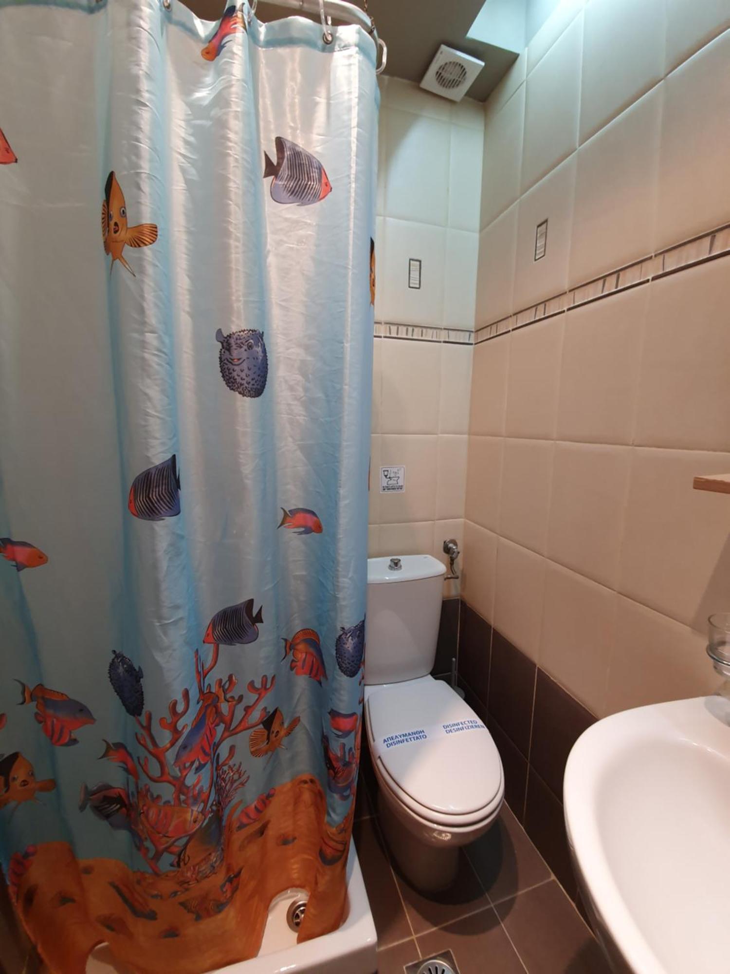 ホテル アフロディーティ アイランド パーク アレクサンドルポリス 部屋 写真